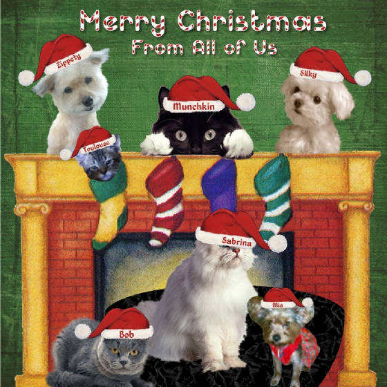 ANIMALS/MerryChristmasAnimals.jpg